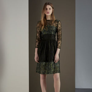 Green Molly Lace Fit Flare Dress Lined Pleated NWT